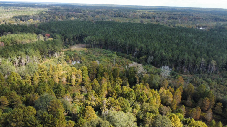 DCIM102MEDIADJI_0170