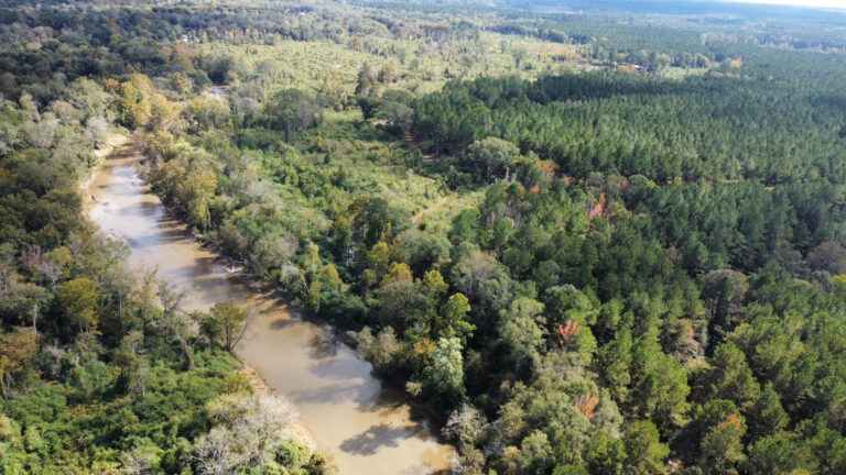 DCIM102MEDIADJI_0172