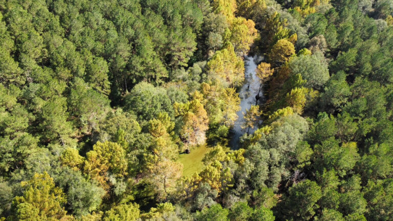 DCIM102MEDIADJI_0173