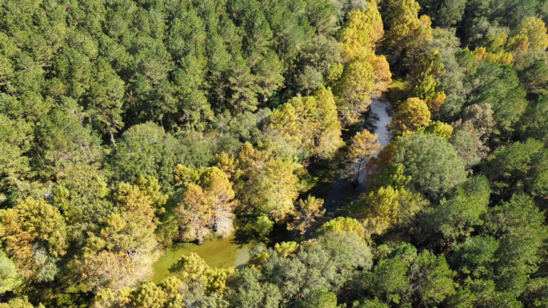 DCIM102MEDIADJI_0174