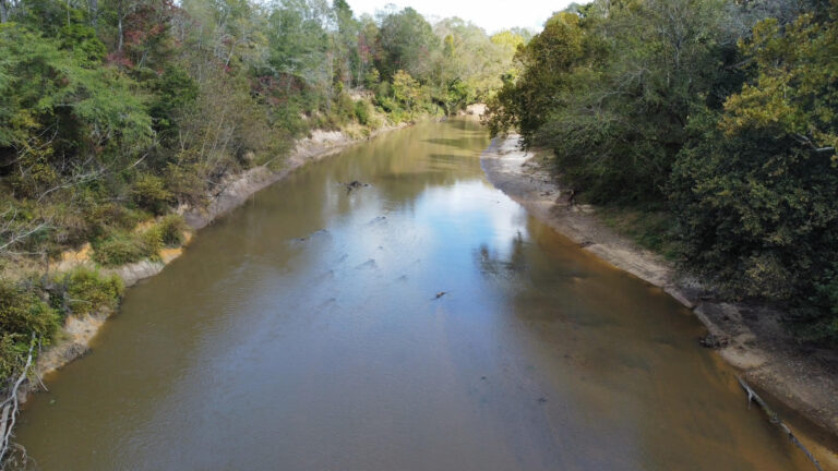 DCIM102MEDIADJI_0178