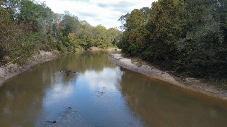 DCIM102MEDIADJI_0179