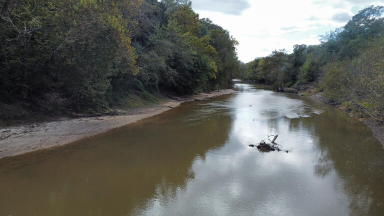 DCIM102MEDIADJI_0180