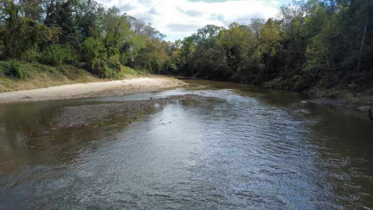 DCIM102MEDIADJI_0181