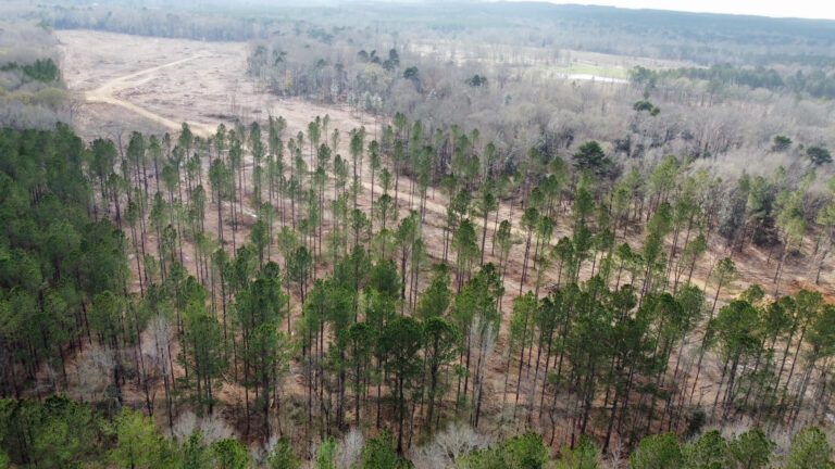 DCIM102MEDIADJI_0243