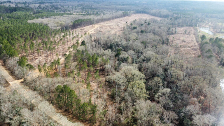 DCIM102MEDIADJI_0246