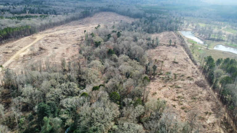 DCIM102MEDIADJI_0247