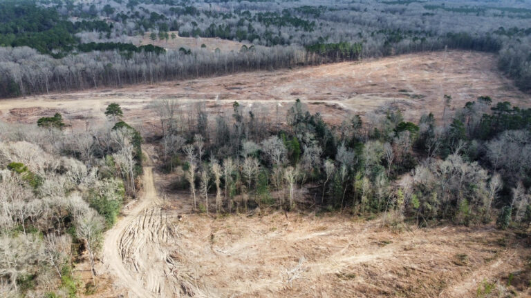 DCIM102MEDIADJI_0248