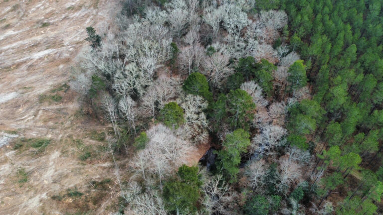 DCIM102MEDIADJI_0250