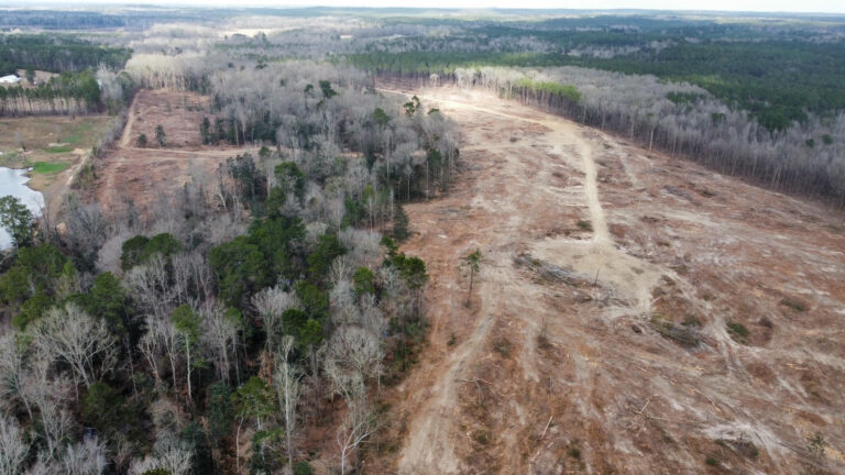 DCIM102MEDIADJI_0251