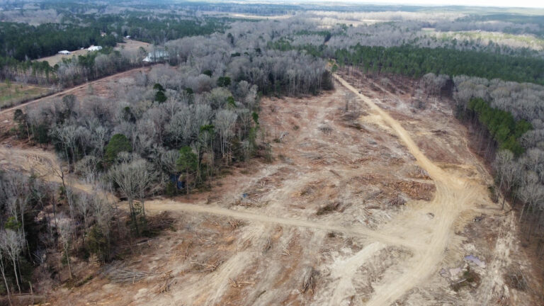 DCIM102MEDIADJI_0252