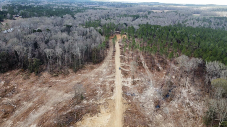 DCIM102MEDIADJI_0253