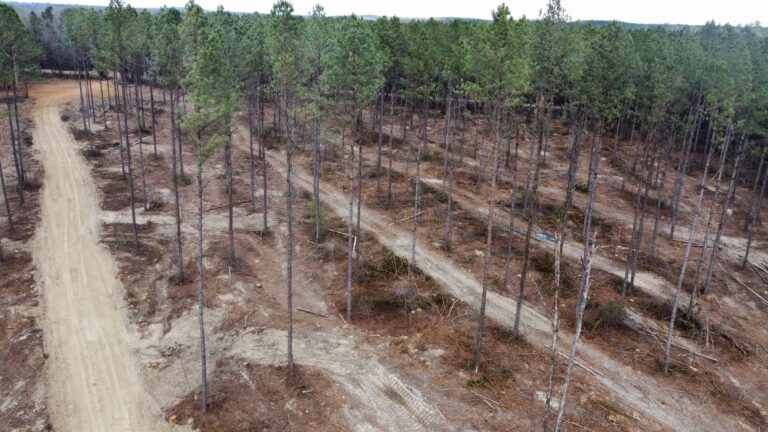 DCIM102MEDIADJI_0254