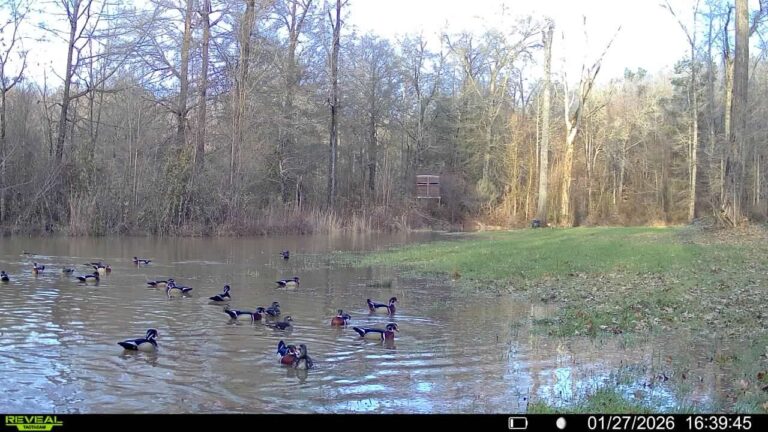 016579007341618-25-3-01272026163945-V-SYFW03626 copy