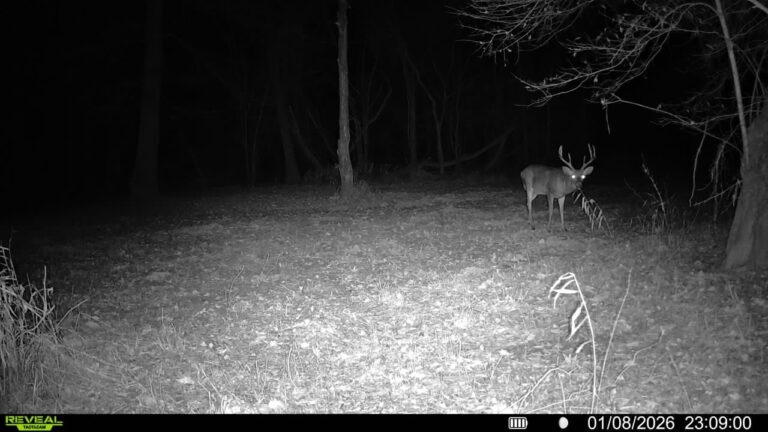 016579007436863-77-2-01082026230900-V-SYFW00546 copy