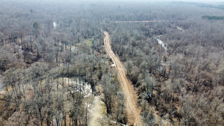 DCIM102MEDIADJI_0360