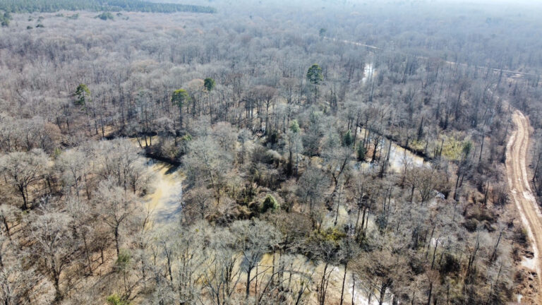 DCIM102MEDIADJI_0361