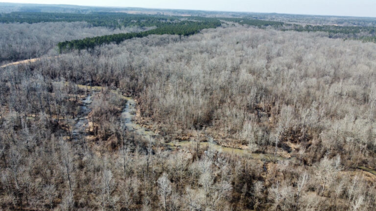 DCIM102MEDIADJI_0365