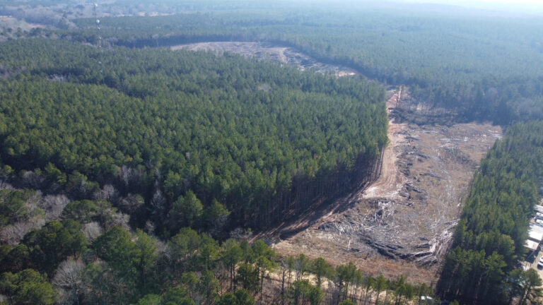 DCIM101MEDIADJI_0556