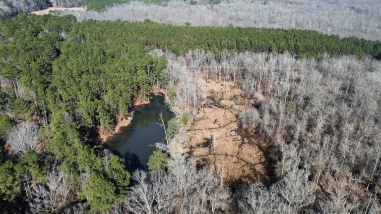 DCIM102MEDIADJI_0373