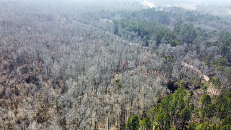 DCIM102MEDIADJI_0375