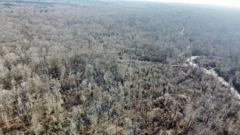 DCIM102MEDIADJI_0376