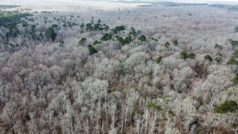 DCIM102MEDIADJI_0335