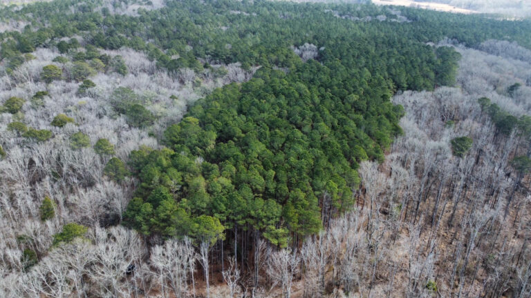 DCIM102MEDIADJI_0336