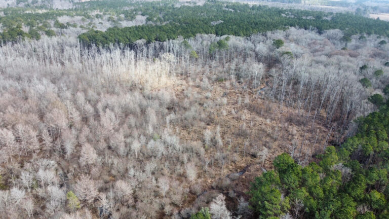 DCIM102MEDIADJI_0339