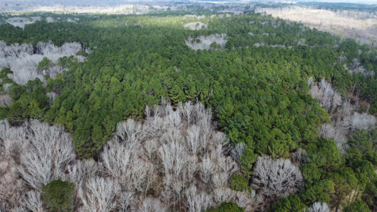 DCIM102MEDIADJI_0343