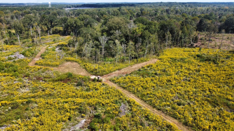 DCIM102MEDIADJI_0088