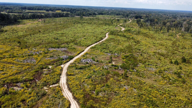 DCIM102MEDIADJI_0090