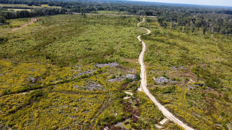 DCIM102MEDIADJI_0092