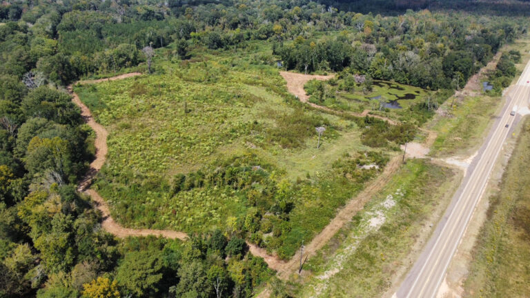 DCIM102MEDIADJI_0099