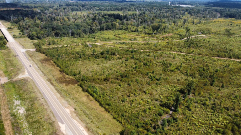 DCIM102MEDIADJI_0100