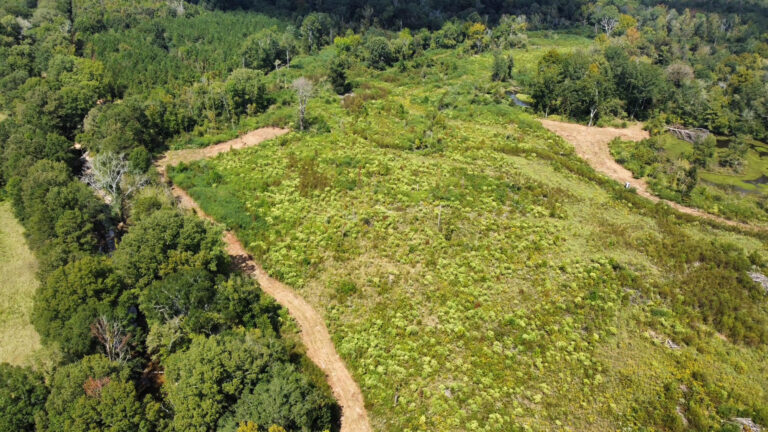 DCIM102MEDIADJI_0102