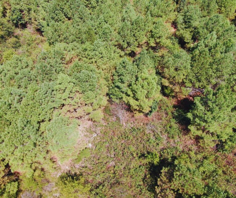 Copy of Untitled Design(25)