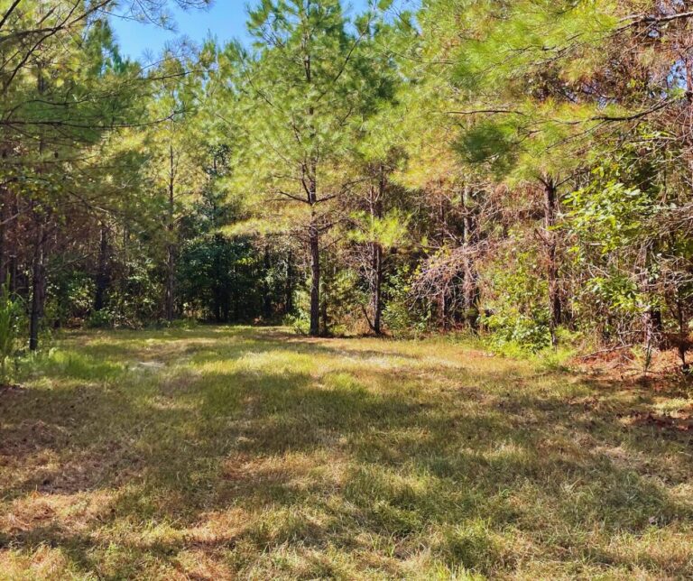 Copy of Untitled Design(28)