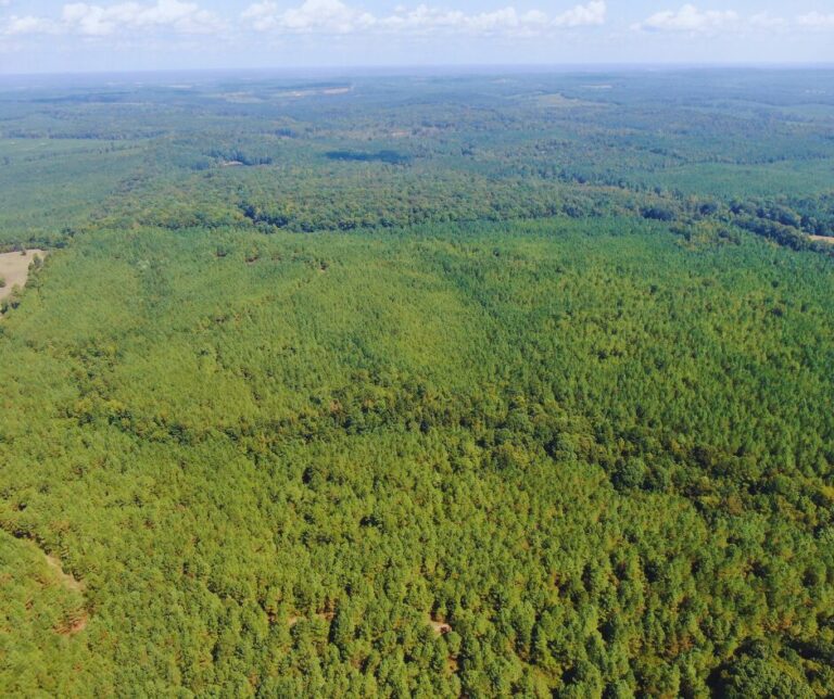 Copy of Untitled Design(32)