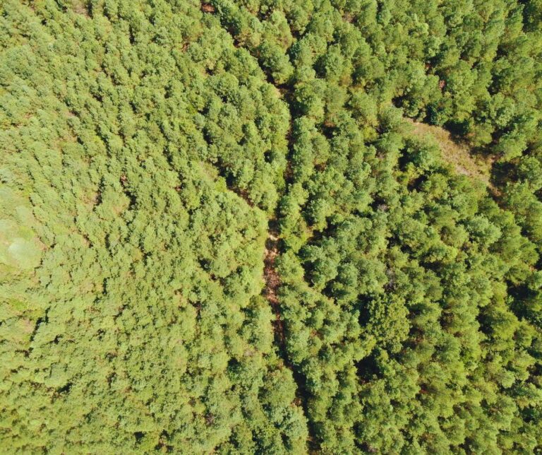 Copy of Untitled Design(33)