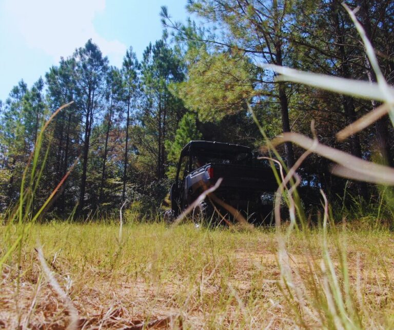 Copy of Untitled Design(34)