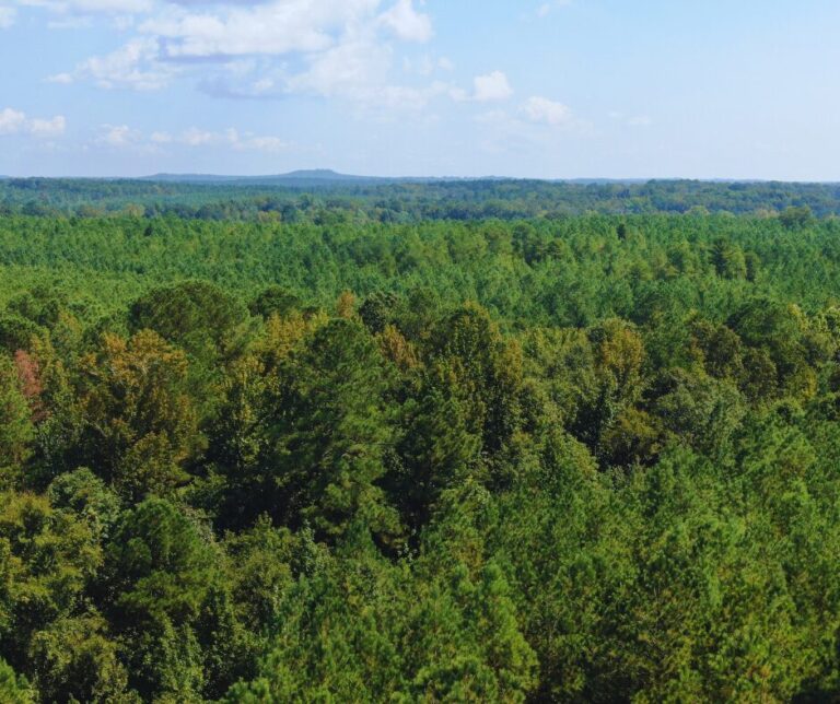 Copy of Untitled Design(35)