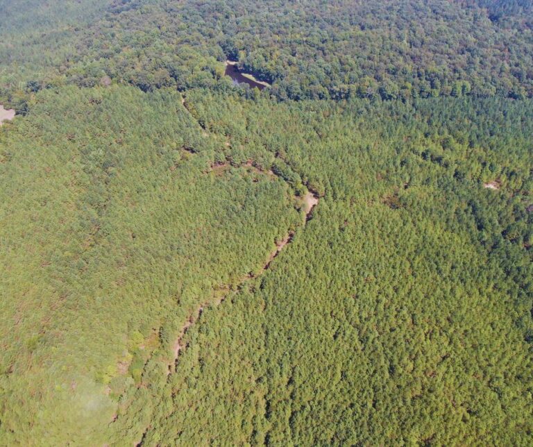 Copy of Untitled Design(36)