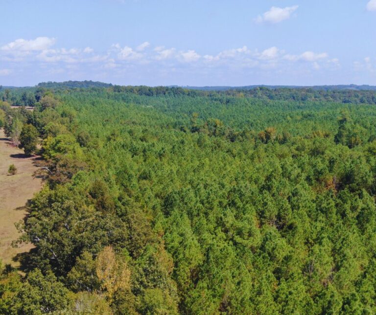 Copy of Untitled Design(38)