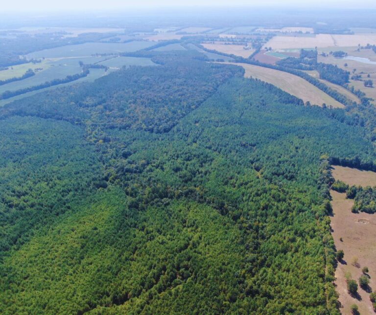 Copy of Untitled Design(39)