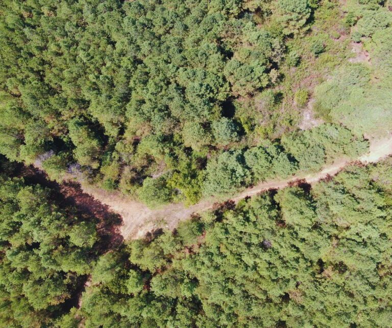 Copy of Untitled Design(40)