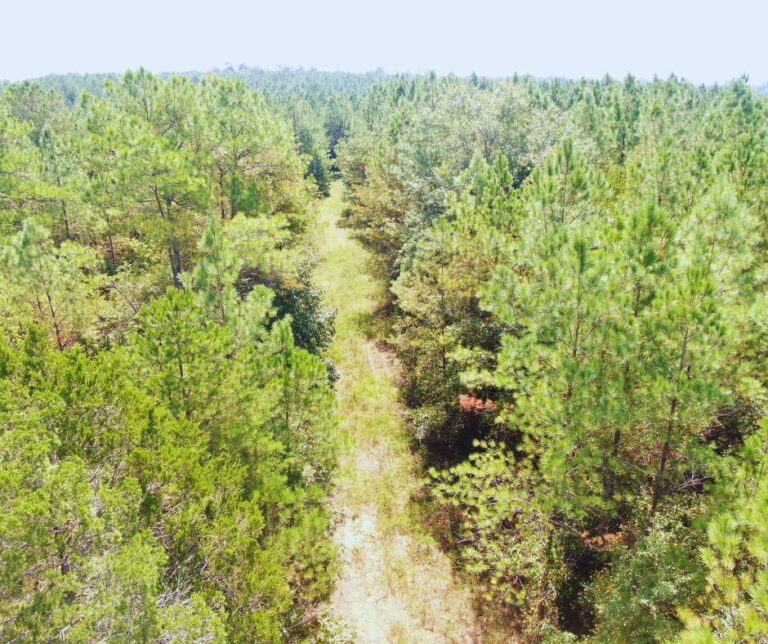 Copy of Untitled Design(41)