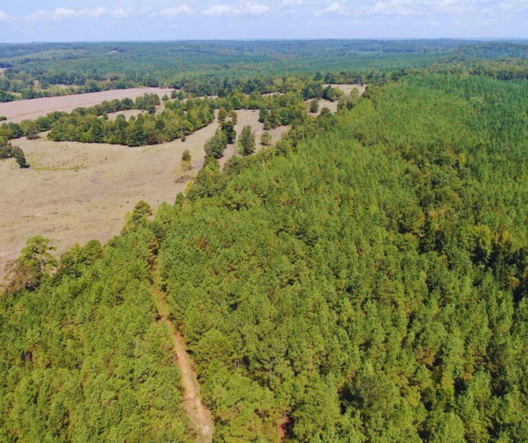 Copy of Untitled Design(42)