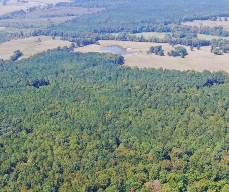 Copy of Untitled Design(46)