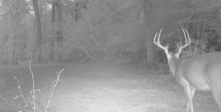 1822:101722:63F:MARK 01   :6